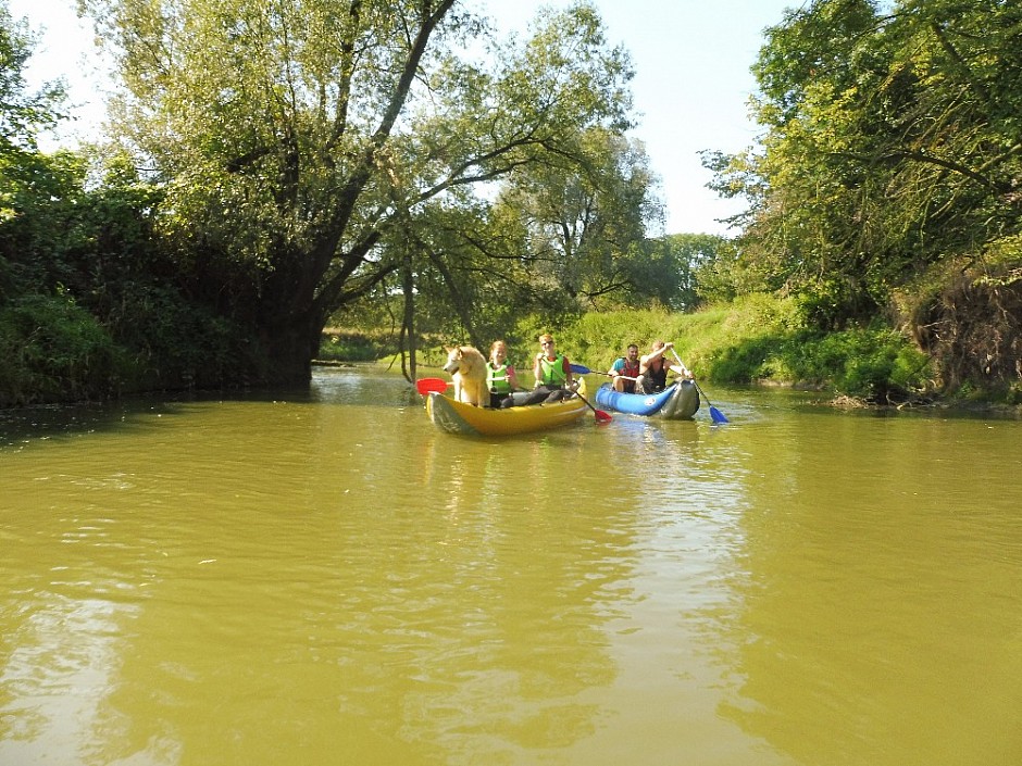 TAKME 09 9.9.2017 čistíme řeku Odru (7)