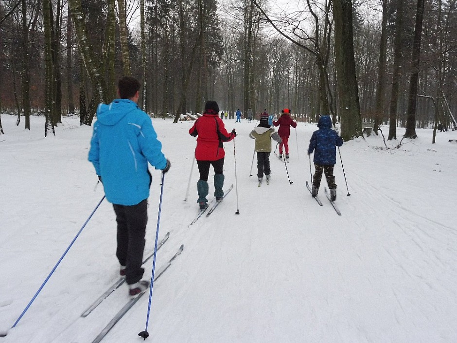 Běžkařské družinovky 13.-14.2.2018 Bělský les (21)