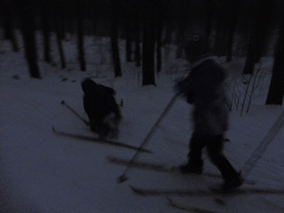 Běžkařské družinovky 13.-14.2.2018 Bělský les (30)