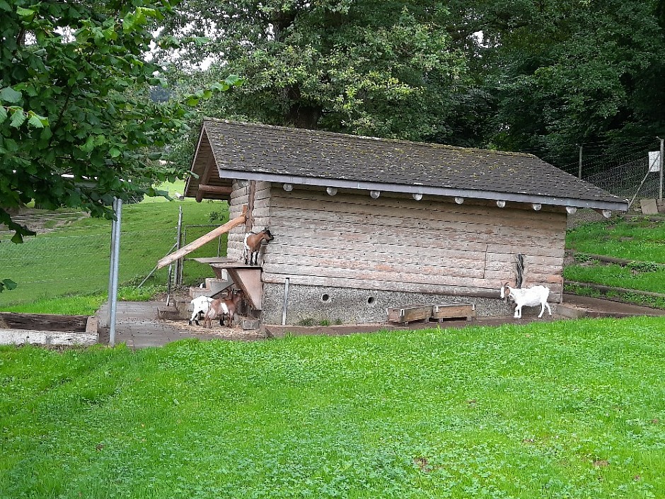 1 Na kolech Langhenthal a Sankt Urban Švýcarsko 15.-22.8.2021 (13)