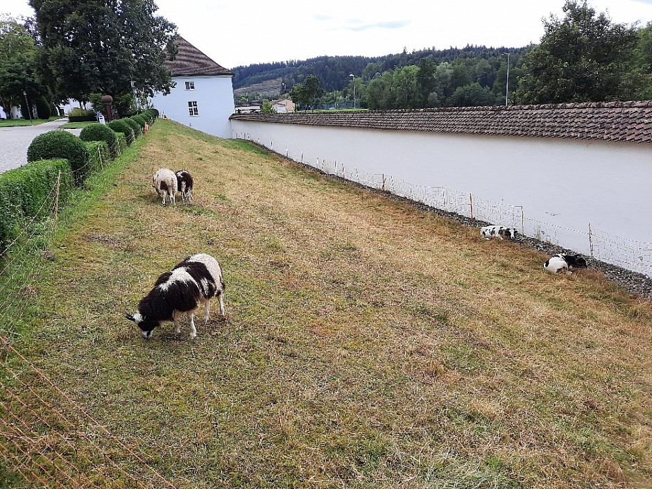 1 Na kolech Langhenthal a Sankt Urban Švýcarsko 15.-22.8.2021 (24)