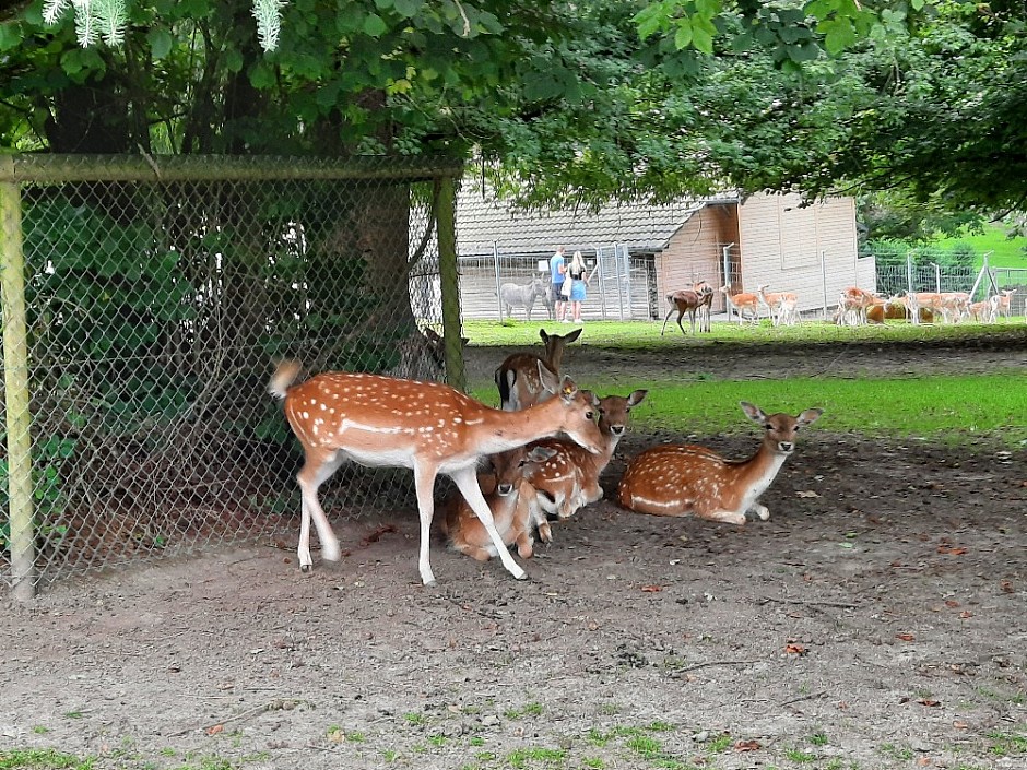 1 Na kolech Langhenthal a Sankt Urban Švýcarsko 15.-22.8.2021 (6)