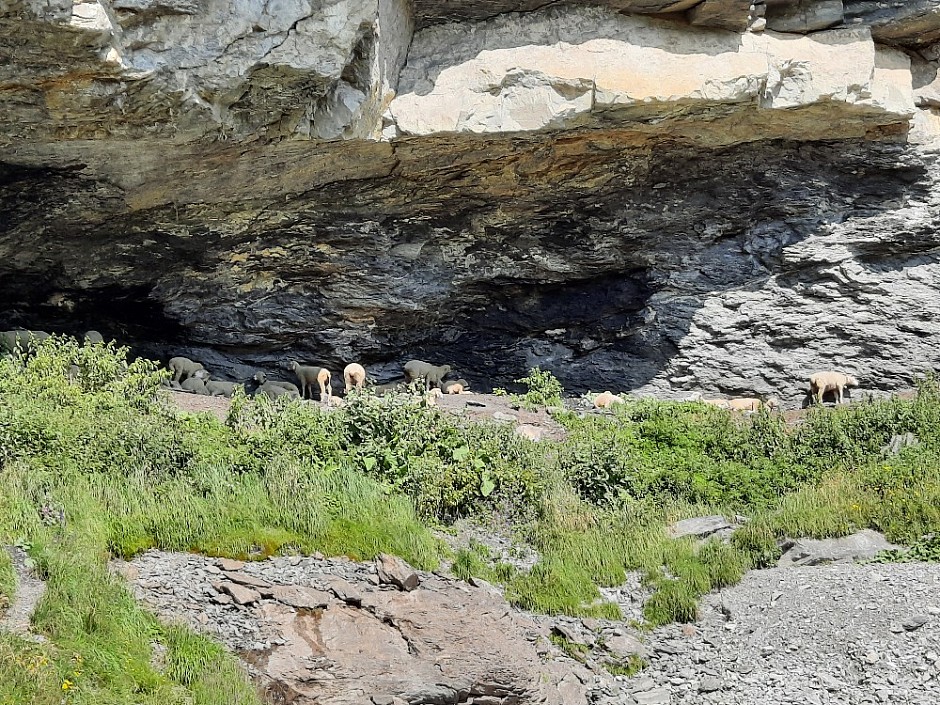 14-Kandersteg Oeschinensee Švýcarsko 15.-22.8.2021 (14)