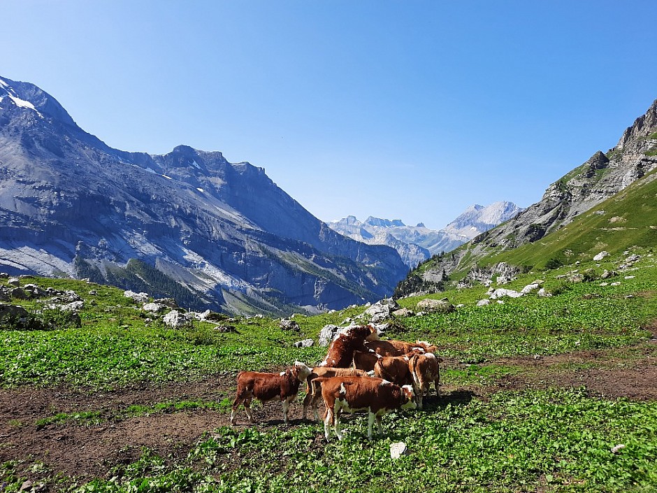 14-Kandersteg Oeschinensee Švýcarsko 15.-22.8.2021 (21)