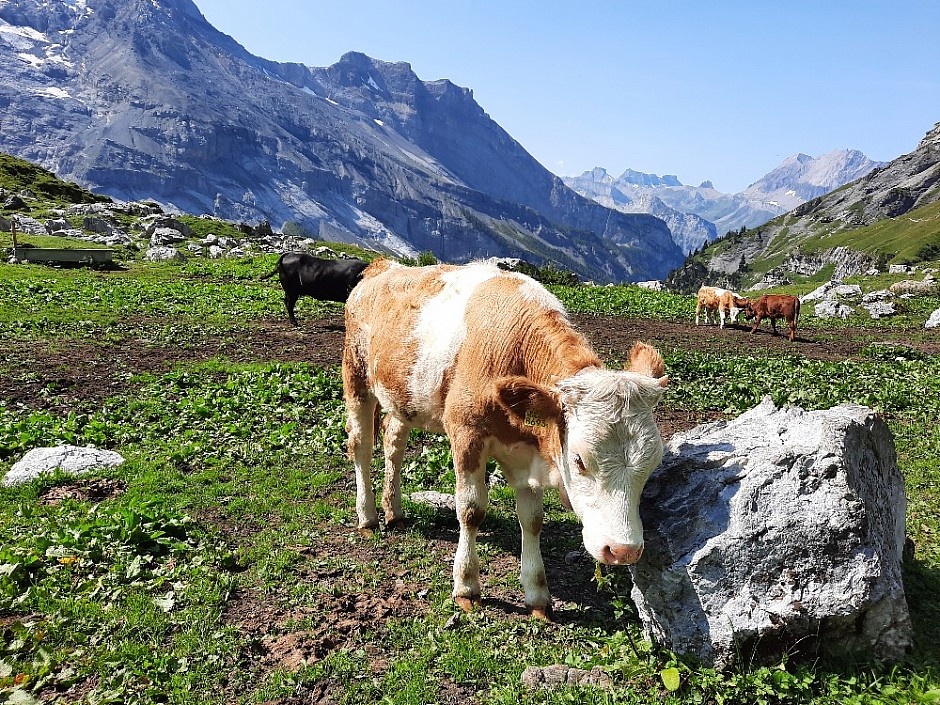 14-Kandersteg Oeschinensee Švýcarsko 15.-22.8.2021 (23)