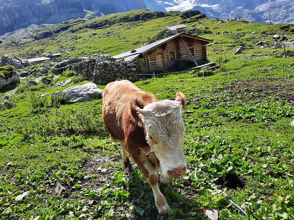 14-Kandersteg Oeschinensee Švýcarsko 15.-22.8.2021 (24)