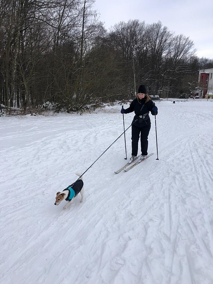 Běžkování 14.2.2021 Bělský les (12)