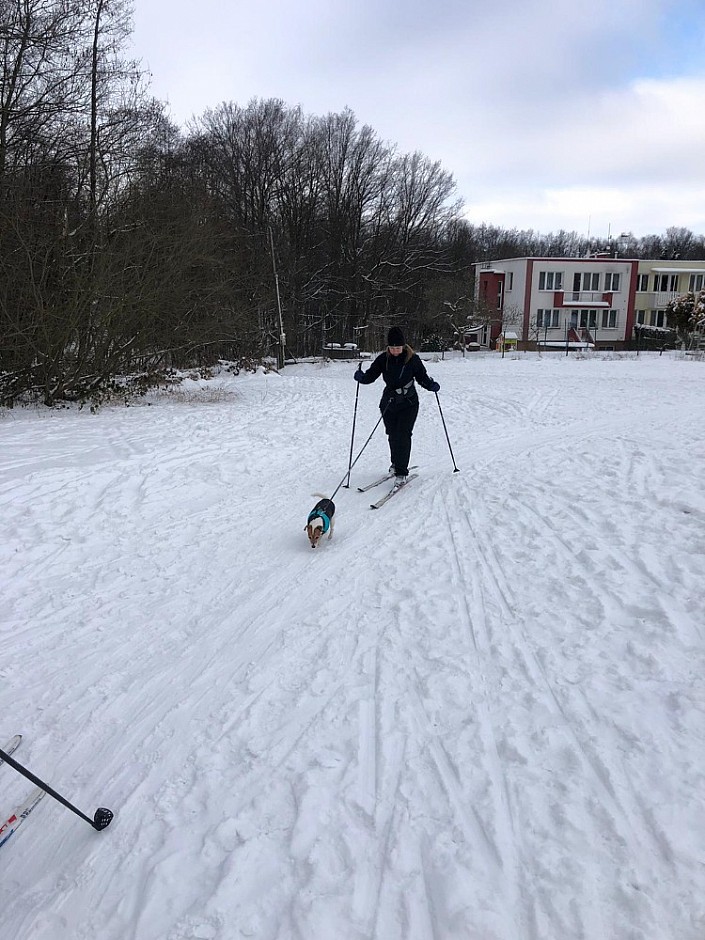 Běžkování 14.2.2021 Bělský les (13)