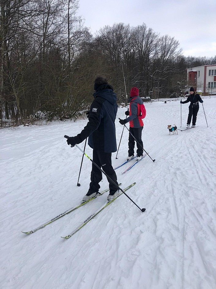 Běžkování 14.2.2021 Bělský les (14)