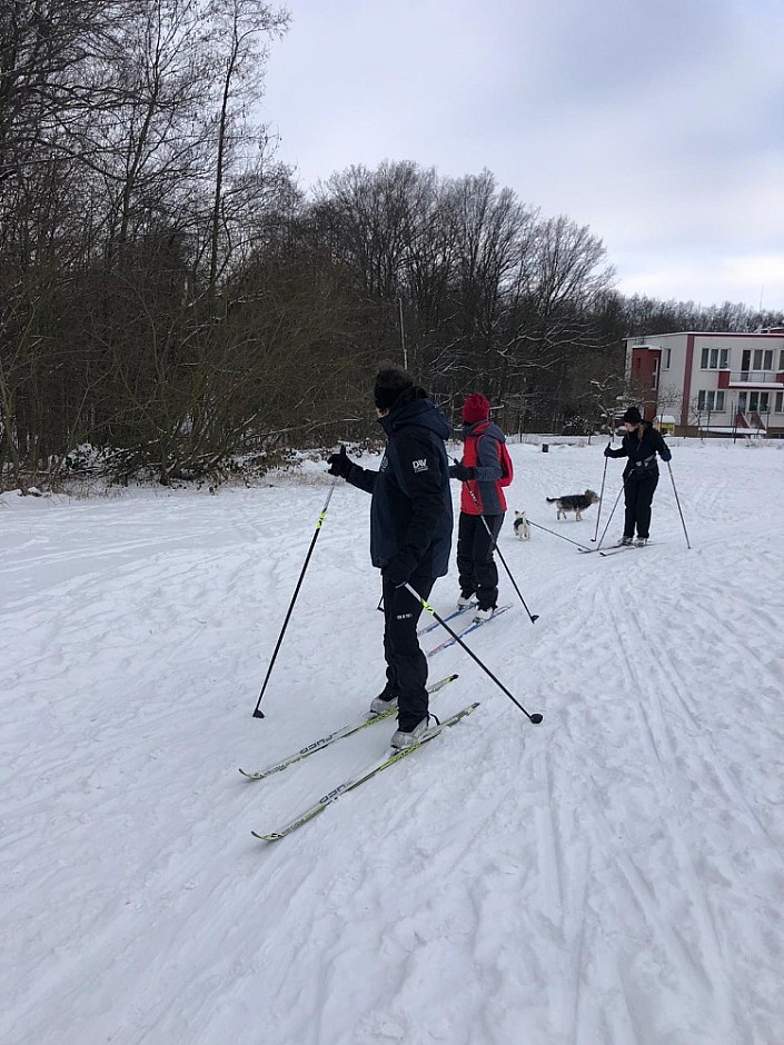 Běžkování 14.2.2021 Bělský les (17)