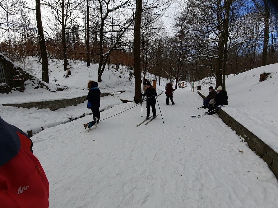 Běžkování 14.2.2021 Bělský les (7)