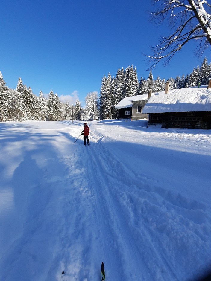 Běžky 17.1.2021 Bílá - Mezivodí (11)