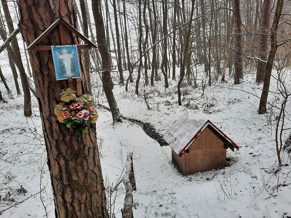 Kolem Kozmic 7.2.2021 po bunkrech (23)