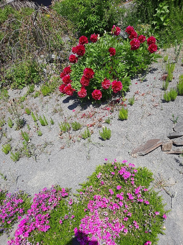 Makču Pikču 6.6.2021 Skanzen (36)