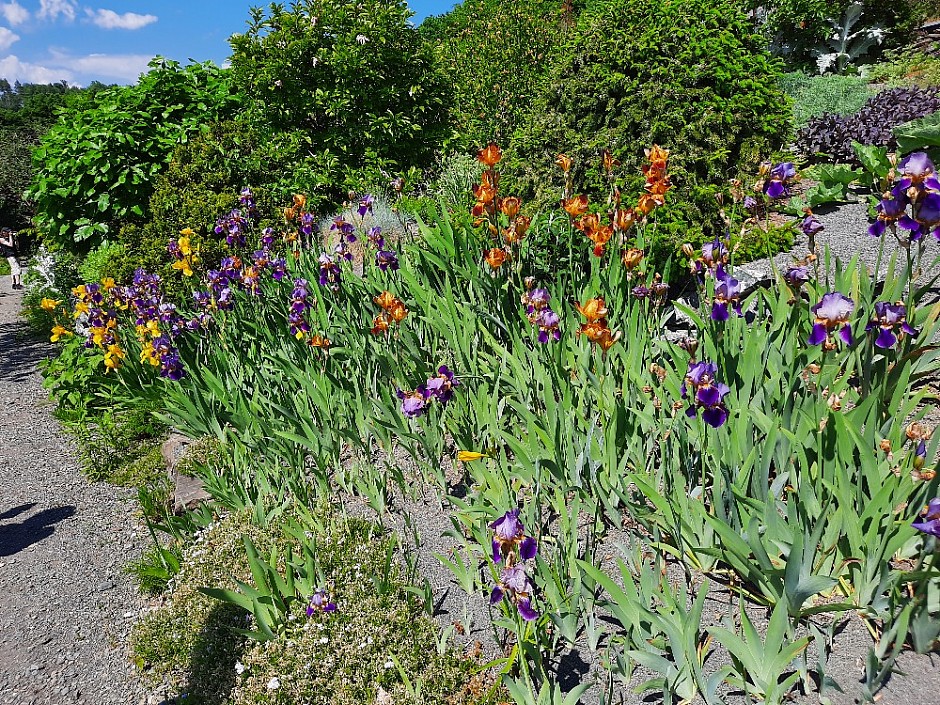 Makču Pikču 6.6.2021 Skanzen (37)