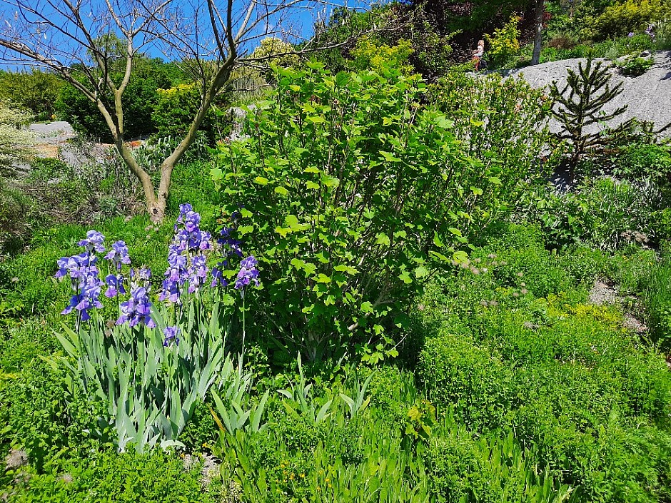 Makču Pikču 6.6.2021 Skanzen (60)