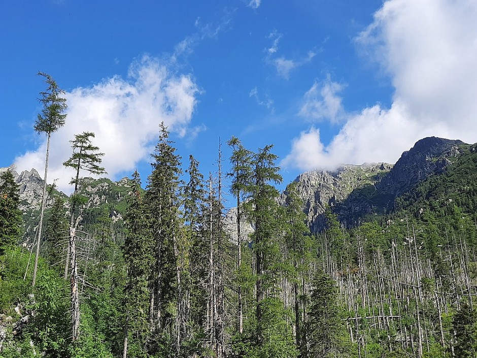 Přes 5 chat a Priečne sedlo 7.8.2021 Vysoké Tatry (17)