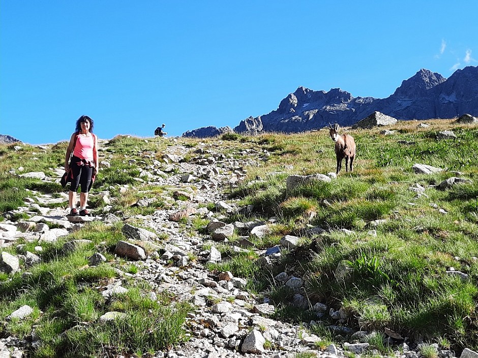 Přes 5 chat a Priečne sedlo 7.8.2021 Vysoké Tatry (77)