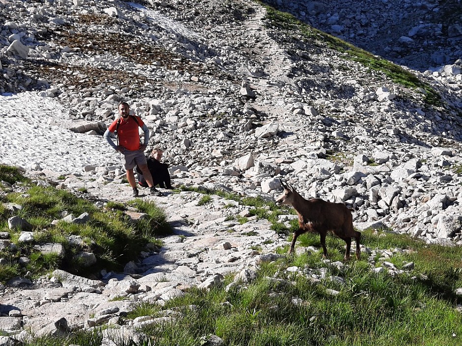 Přes 5 chat a Priečne sedlo 7.8.2021 Vysoké Tatry (83)