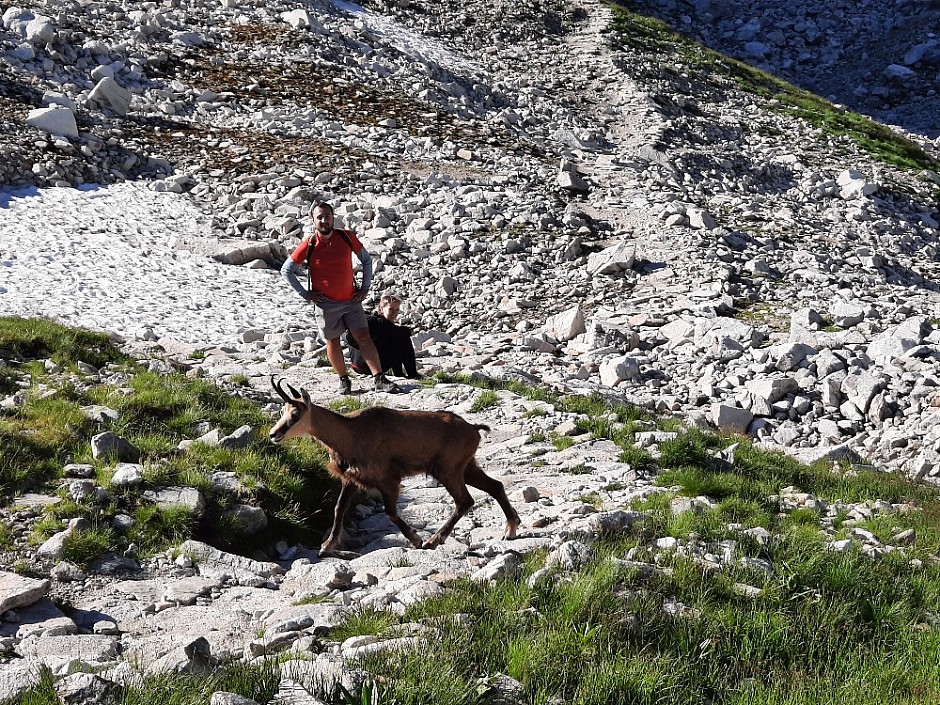 Přes 5 chat a Priečne sedlo 7.8.2021 Vysoké Tatry (84)