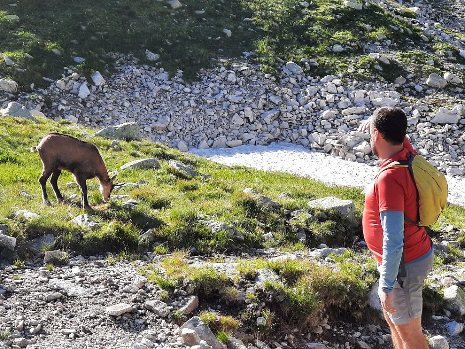 Přes 5 chat a Priečne sedlo 7.8.2021 Vysoké Tatry (85)