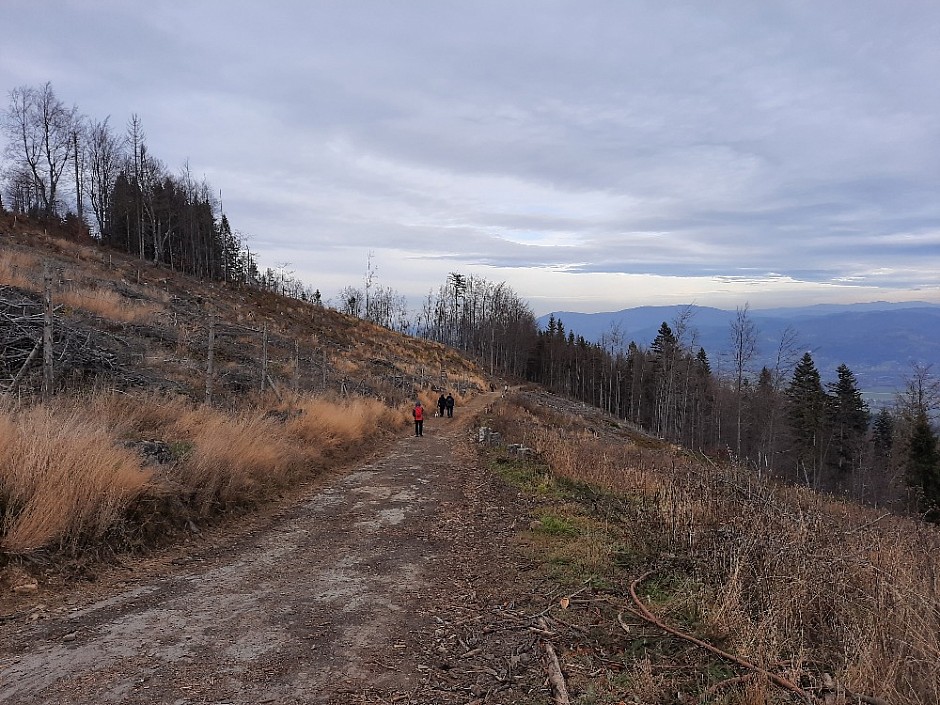 Přes Kamenitý a Kozubovou 7.11.2021 Po Beskydských chatách (46)