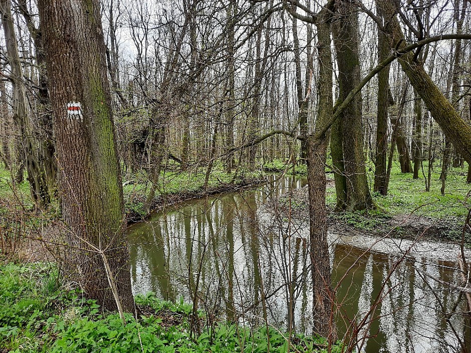 Poodřím 25.4.2021 Jistebníkem Klimkovicemi a Polankou na Honculi (11)