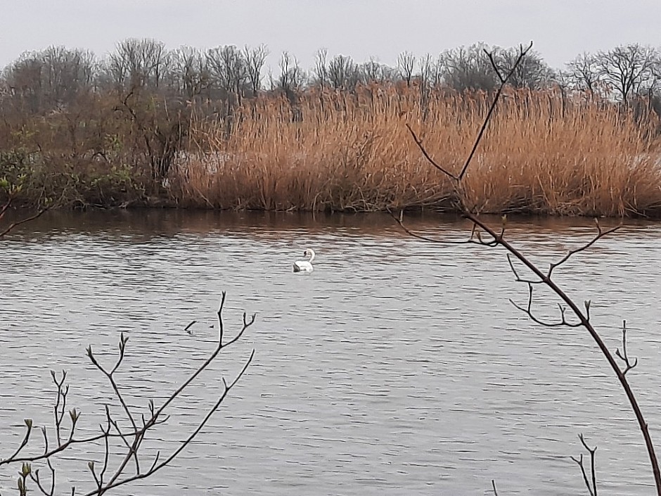 Poodřím 25.4.2021 Jistebníkem Klimkovicemi a Polankou na Honculi (14)