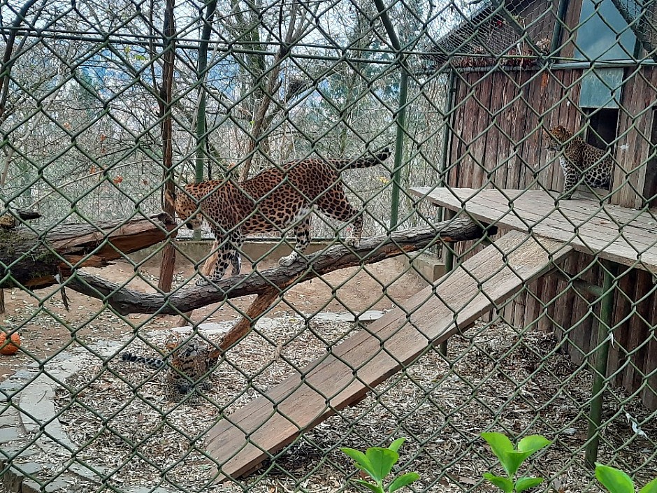 ZOO Brno Poslední puchýř 19.-21.11.2021 Brno (1)