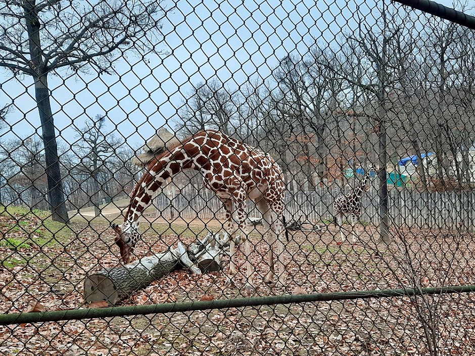 ZOO Brno Poslední puchýř 19.-21.11.2021 Brno (15)