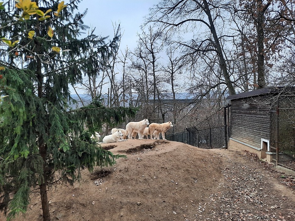 ZOO Brno Poslední puchýř 19.-21.11.2021 Brno (20)