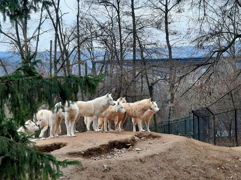 ZOO Brno Poslední puchýř 19.-21.11.2021 Brno (21)