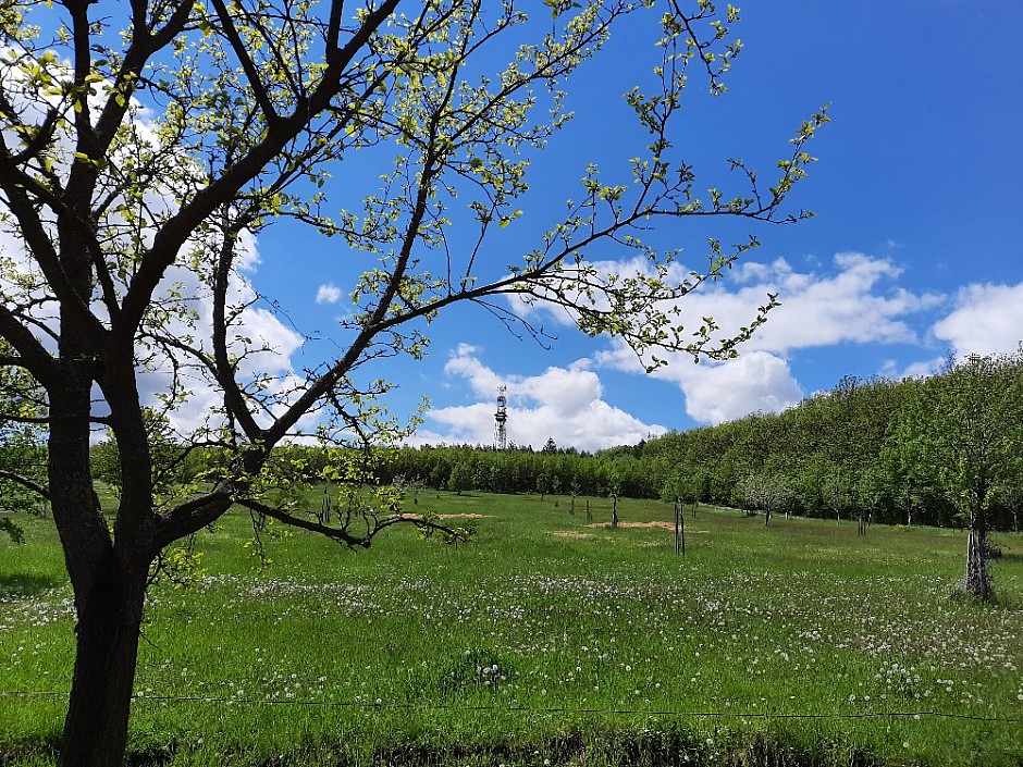 12 - Tvarožná Lhota 16.5.2021 Travičná rozhledna salaš oskeruše (23)