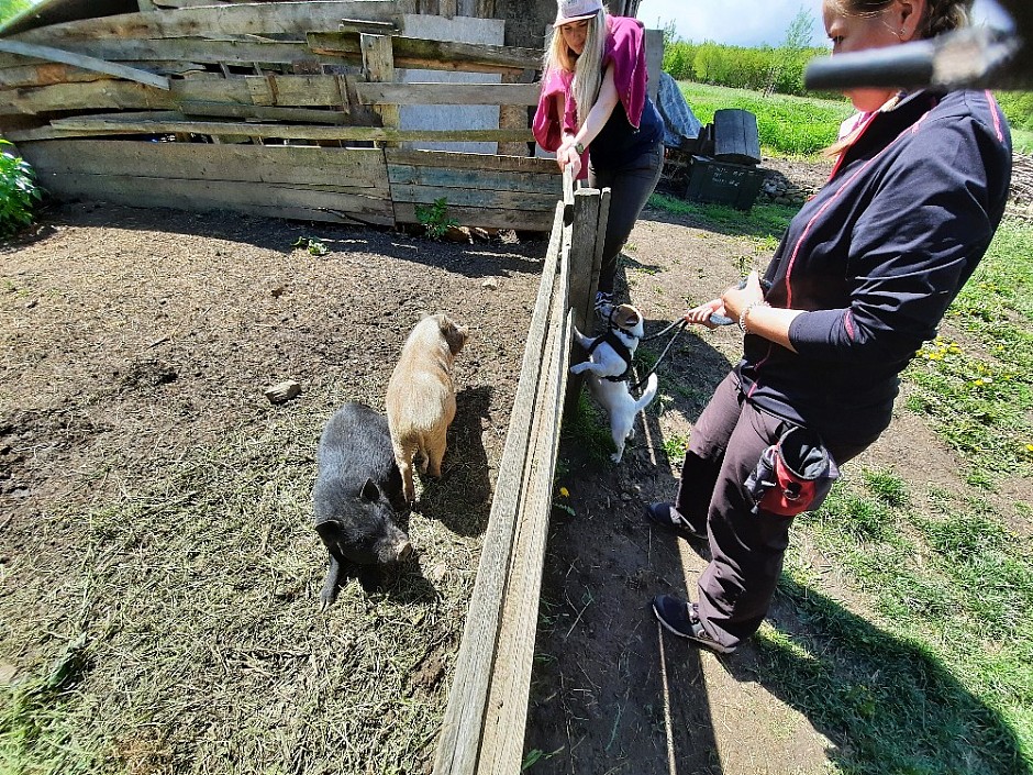 12 - Tvarožná Lhota 16.5.2021 Travičná rozhledna salaš oskeruše (37)