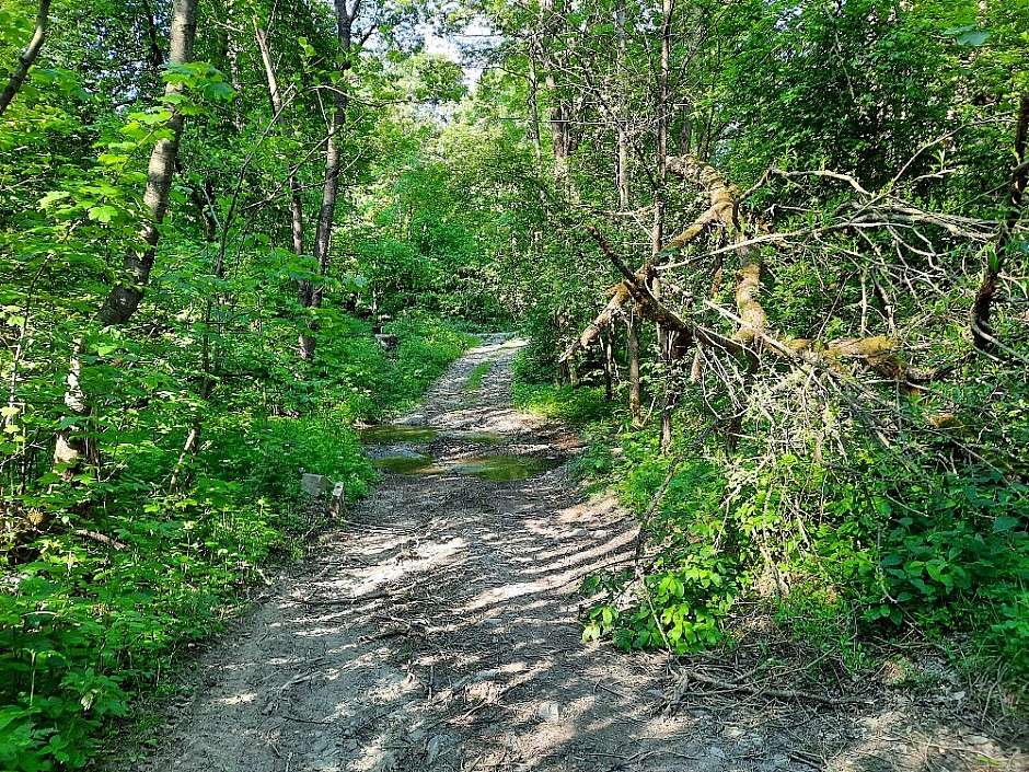 Tábořiště a odběr vody 6.6.2021 Podlesí (1)