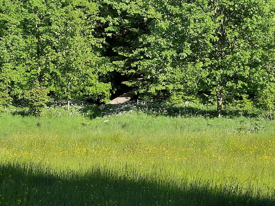 Tábořiště a odběr vody 6.6.2021 Podlesí (14)