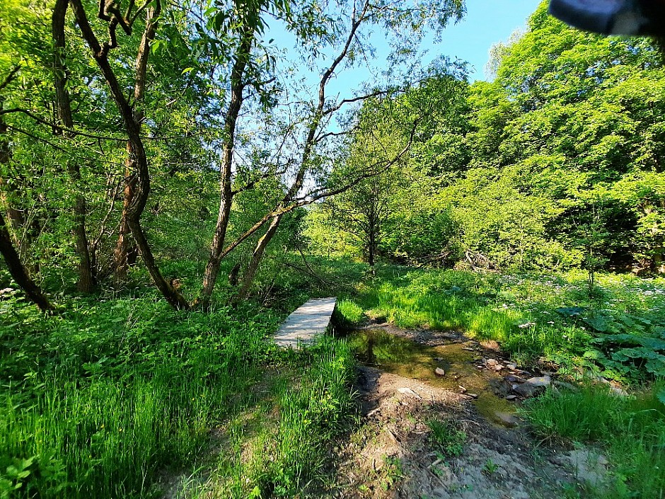 Tábořiště a odběr vody 6.6.2021 Podlesí (16)