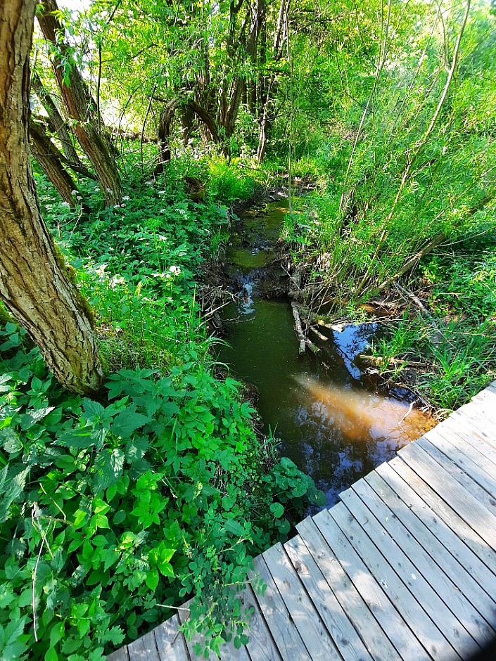 Tábořiště a odběr vody 6.6.2021 Podlesí (17)