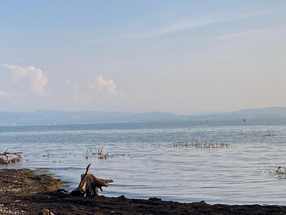 1- Bodensee Švýcarsko 3.-11.8.2024 počtvrté (1)