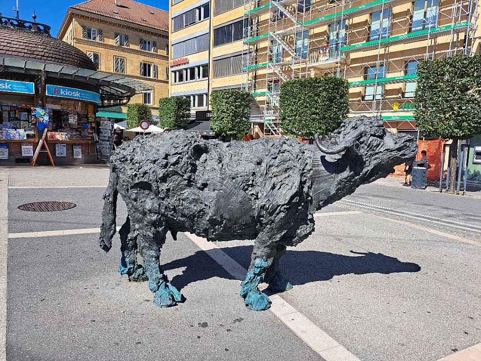 16 - Neuchatel Švýcarsko 3.-11.8.2024 počtvrté (545)