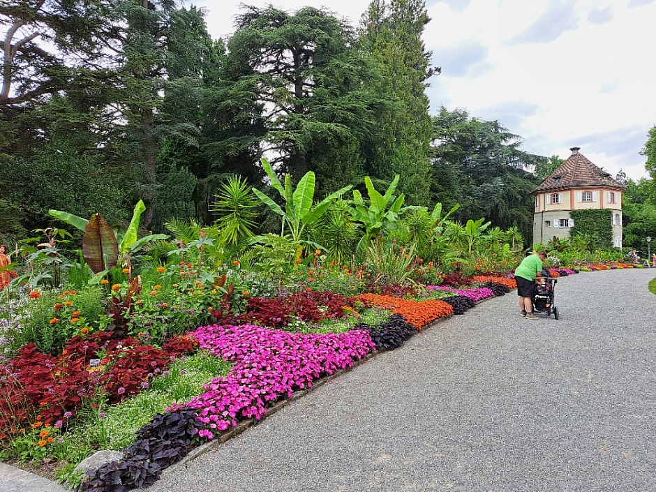 4-Insel Mainau Švýcarsko 3.-11.8.2024 počtvrté (21)