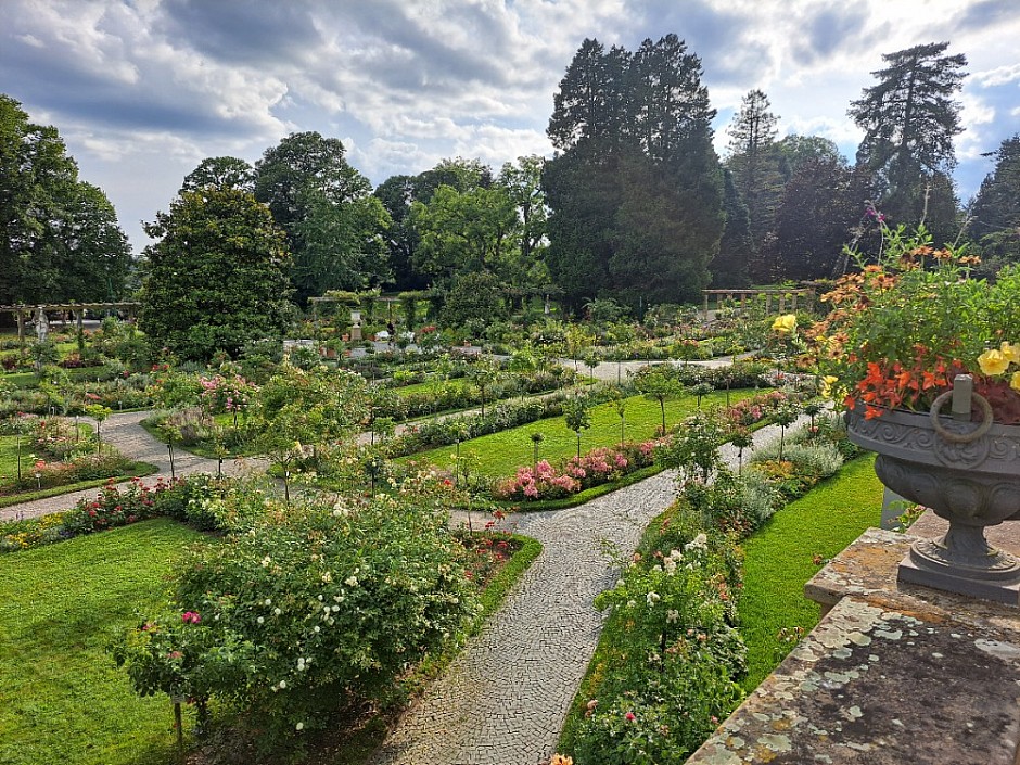 4-Insel Mainau Švýcarsko 3.-11.8.2024 počtvrté (25)