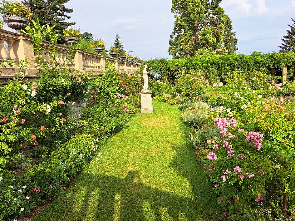 4-Insel Mainau Švýcarsko 3.-11.8.2024 počtvrté (26)