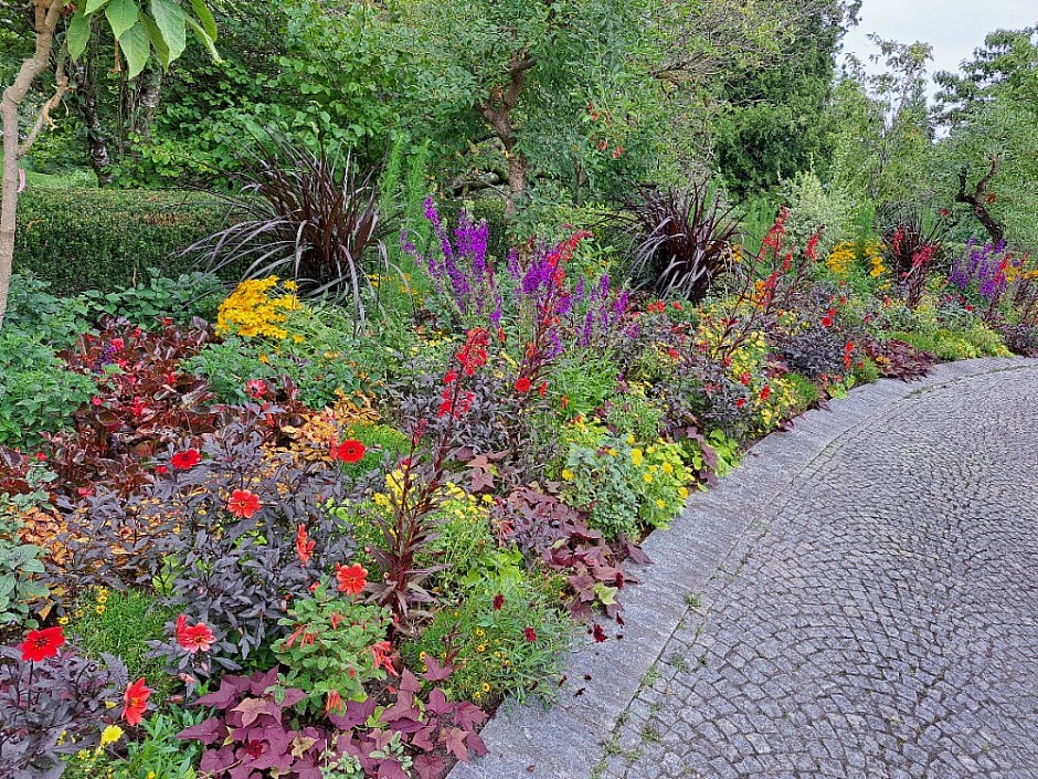 4-Insel Mainau Švýcarsko 3.-11.8.2024 počtvrté (37)