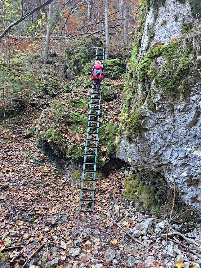 Velký Sokol Klausy a Sokolí dolina 29.10.2024 Slovenský Raj (27)