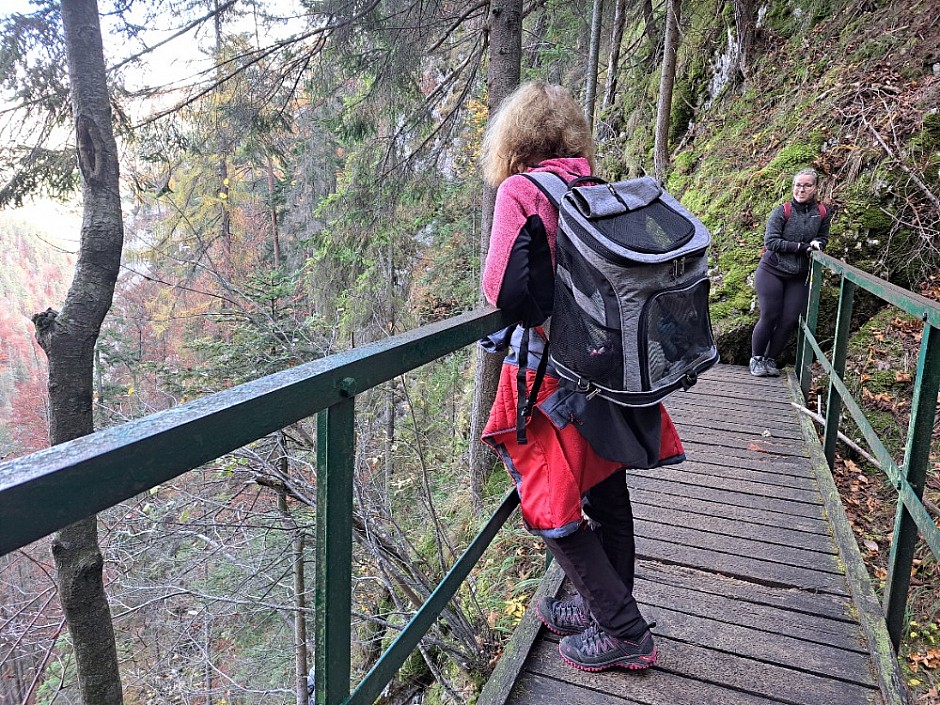 Velký Sokol Klausy a Sokolí dolina 29.10.2024 Slovenský Raj (35)