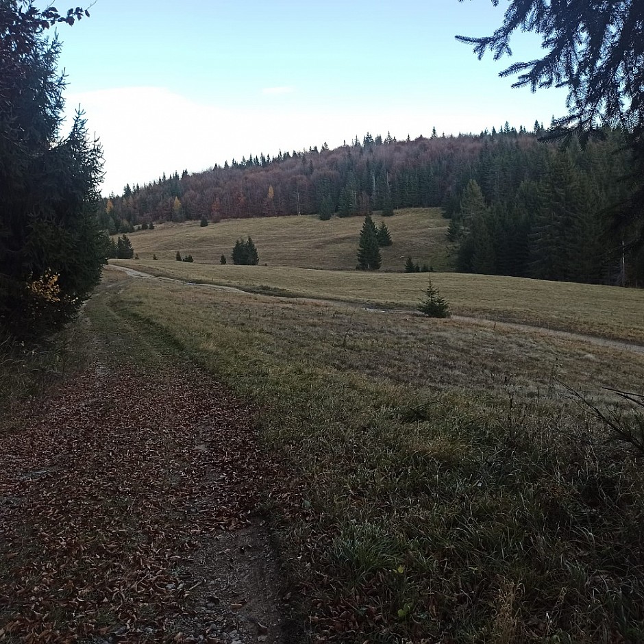 Velký Sokol Klausy a Sokolí dolina 29.10.2024 Slovenský Raj (48)