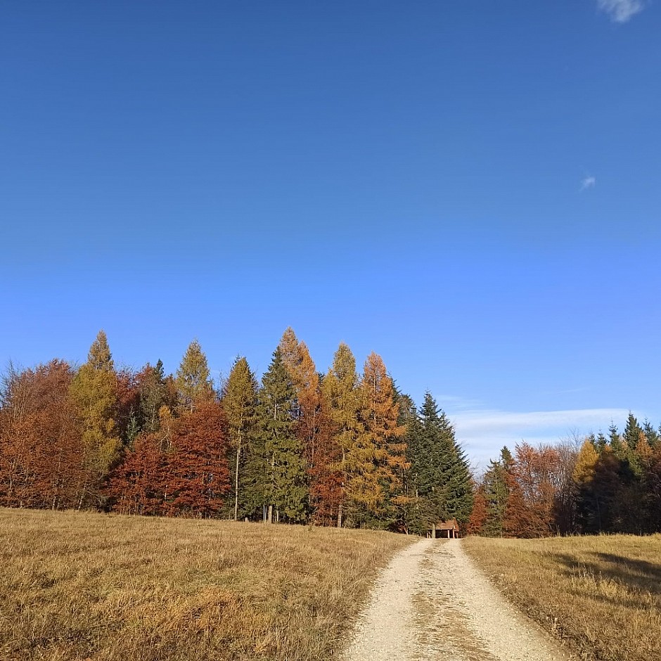 Velký Sokol Klausy a Sokolí dolina 29.10.2024 Slovenský Raj (49)