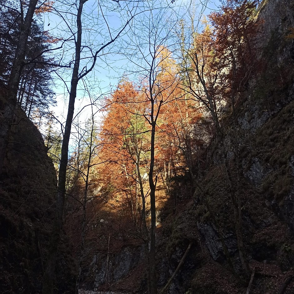 Velký Sokol Klausy a Sokolí dolina 29.10.2024 Slovenský Raj (62)