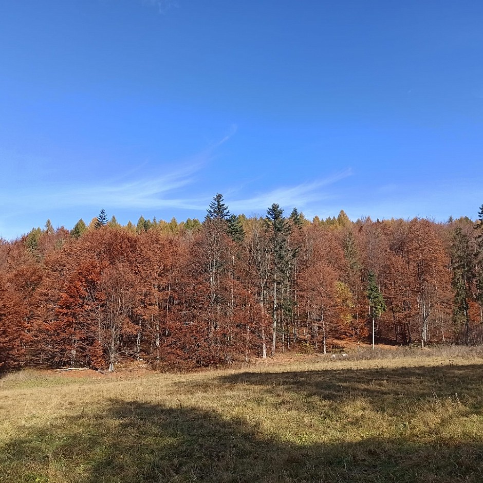 Velký Sokol Klausy a Sokolí dolina 29.10.2024 Slovenský Raj (66)